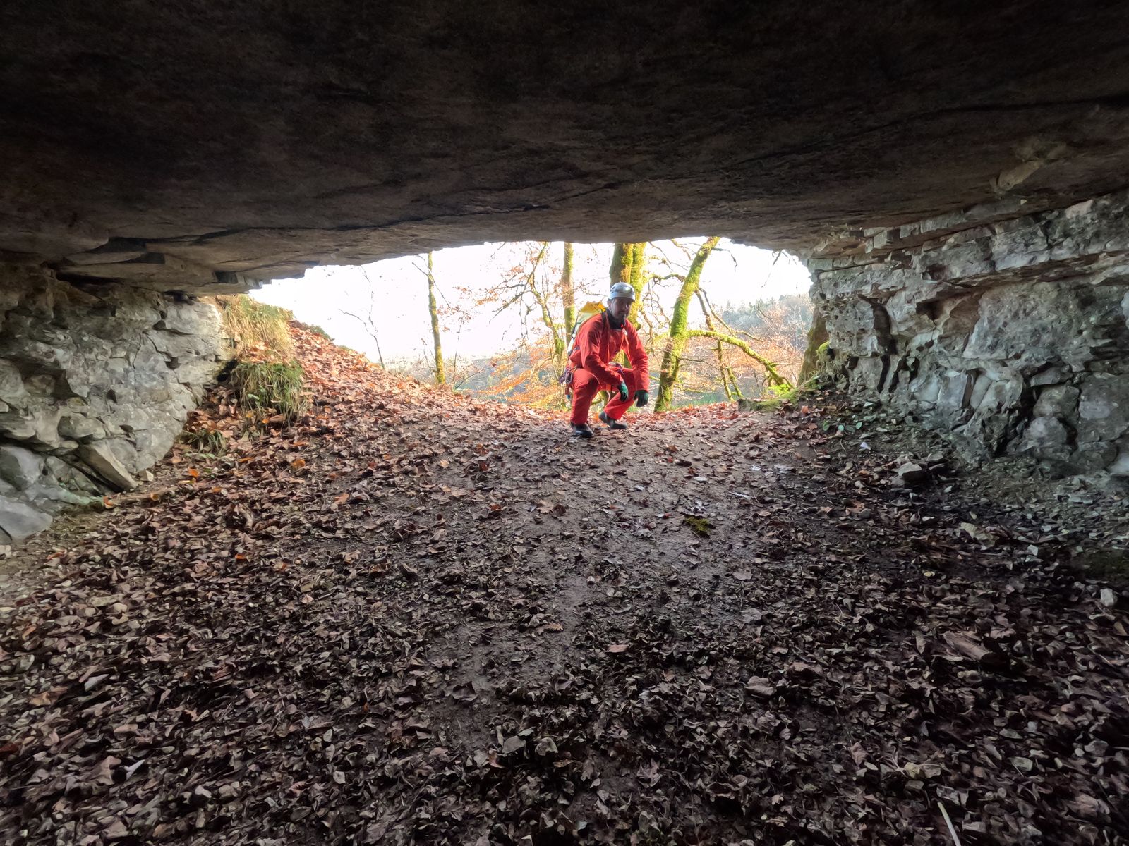 Vue depuis l’intérieur du porche d’entrée de la grotte de Balerne, ouvert sur la forêt