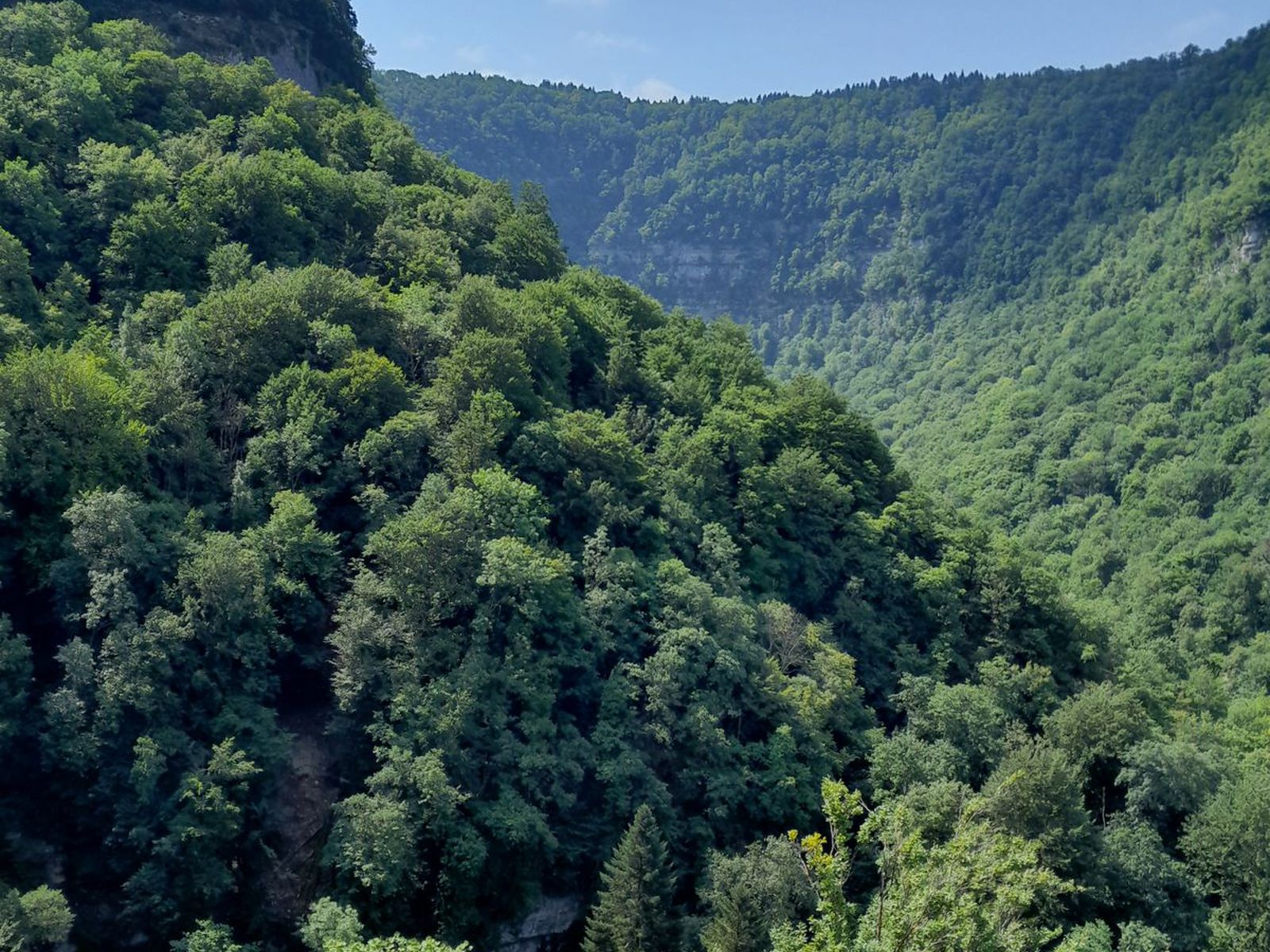 Vue sur la vallée de la Loue depuis la falaise de Mouthier-Haute-Pierre